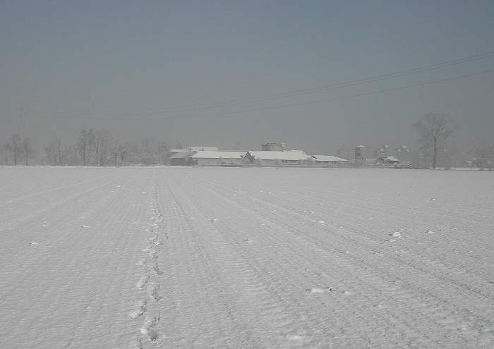 18.01.2005 - la Cascinazza nella neve e nella nebbia