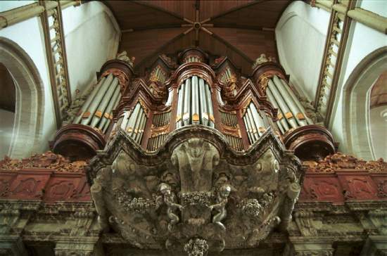 il grande organo