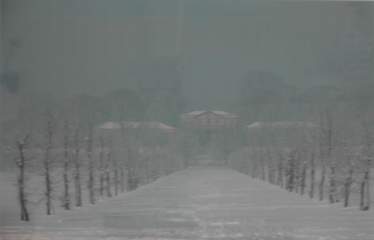 il viale dei carpini - inverno (da una foto esposta alla sala delle Colonne)
