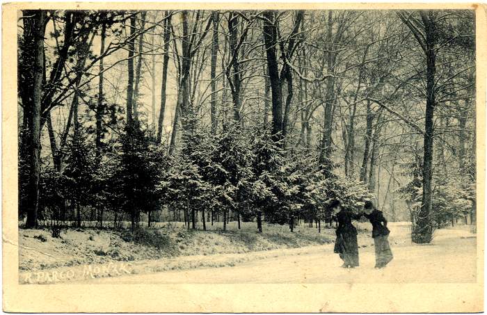 nella neve
