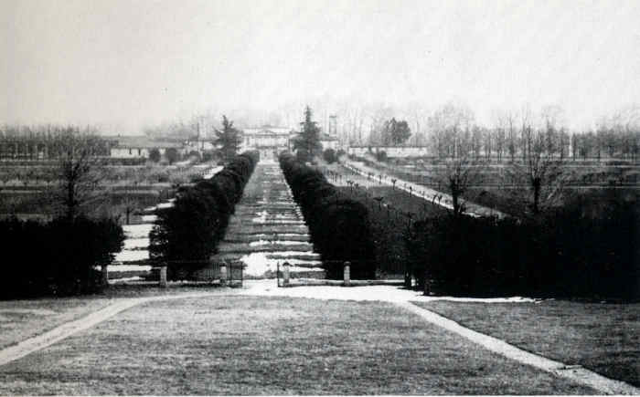 Viale dei Carpini